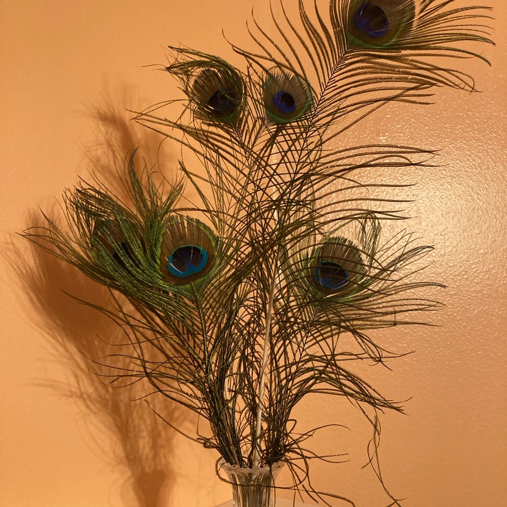Elegant Faux Peacock Feathers Set of 6